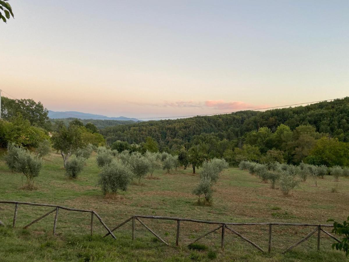 Agriturismo Borgo Serafino Mangone  Εξωτερικό φωτογραφία